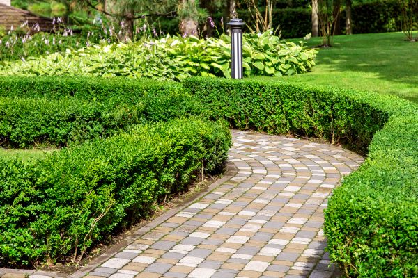 Paved Landscaping in Jacksonville