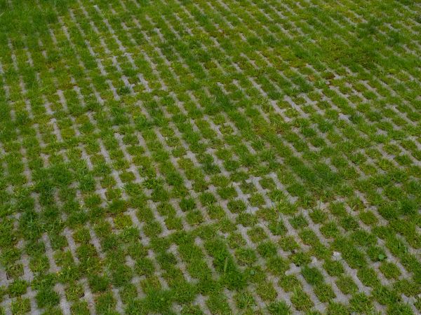 Permeable Pavement Service in Jacksonville